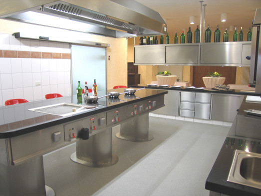 Palux Bistroline Drop In & Modular Cooking suite